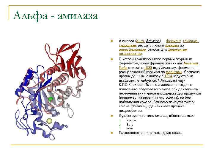 Альфа амилаза липаза