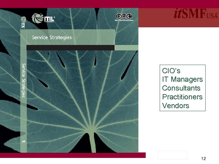 CIO’s IT Managers Consultants Practitioners Vendors 12 