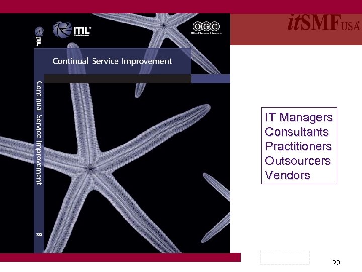 IT Managers Consultants Practitioners Outsourcers Vendors 20 