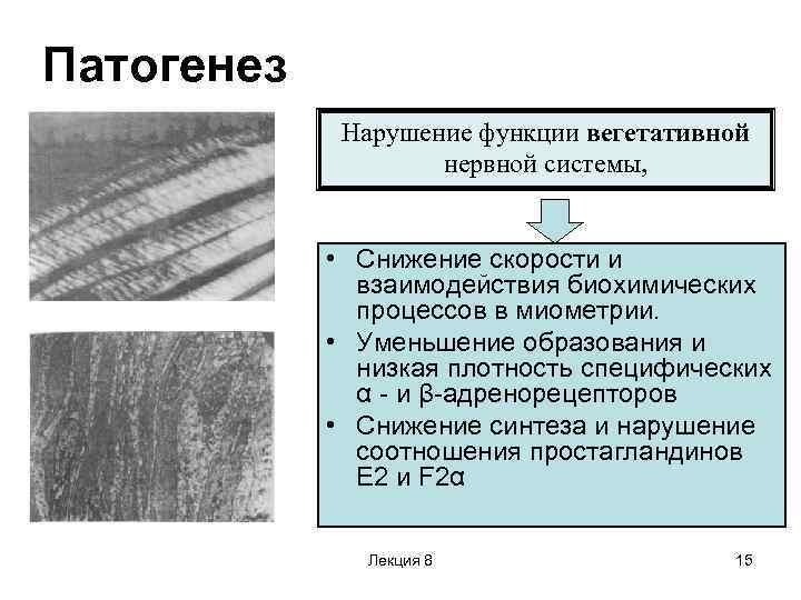 Этиология нарушений. Патогенез расстройств нервной системы. Этиология нарушений функций нервной системы. Общий патогенез расстройств нервной деятельности. Патогенез нарушений деятельности нервной системы.