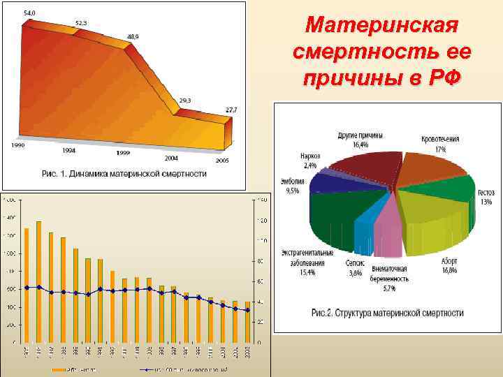 Материнская смертность ее причины в РФ 