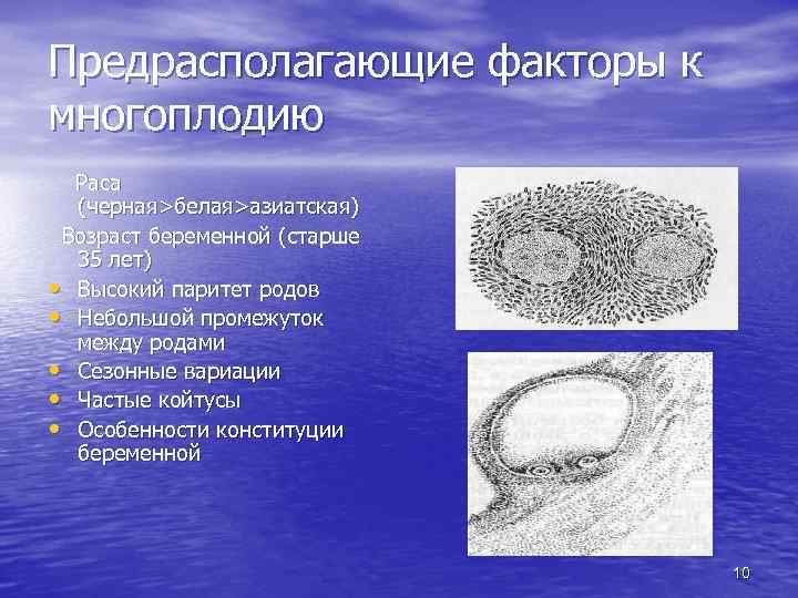 Предрасполагающие факторы к многоплодию Раса (черная>белая>азиатская) Возраст беременной (старше 35 лет) • Высокий паритет