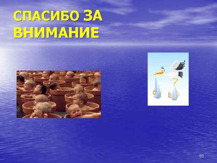 СПАСИБО ЗА ВНИМАНИЕ 60 