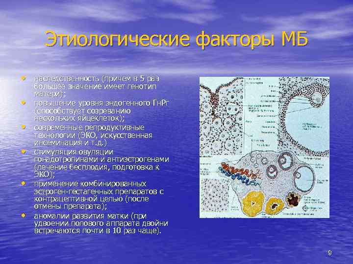 Этиологические факторы МБ • наследственность (причем в 5 раз • • • большее значение