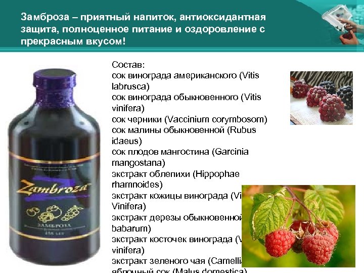 Замброза – приятный напиток, антиоксидантная защита, полноценное питание и оздоровление с прекрасным вкусом! Состав: