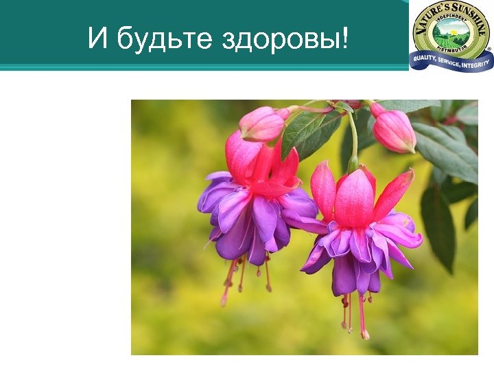 И будьте здоровы! 