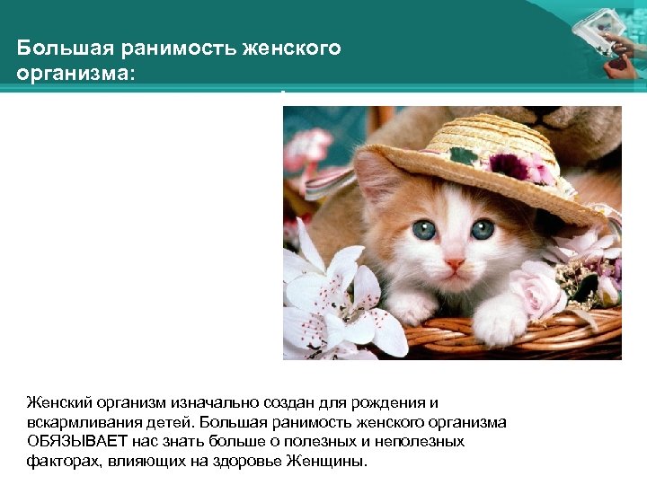 Большая ранимость женского организма: здоровью нужна защита! Женский организм изначально создан для рождения и
