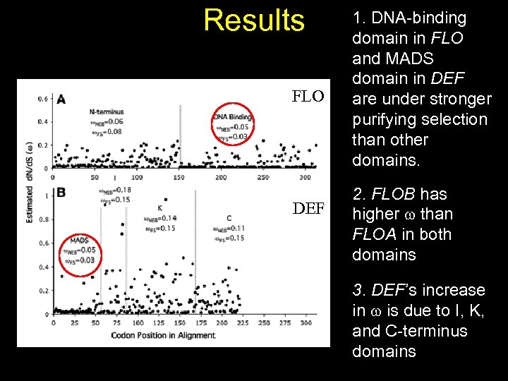 Results FLO DEF 1. DNA-binding domain in FLO and MADS domain in DEF are