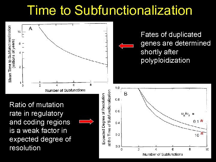 Time to Subfunctionalization Fates of duplicated genes are determined shortly after polyploidization Ratio of