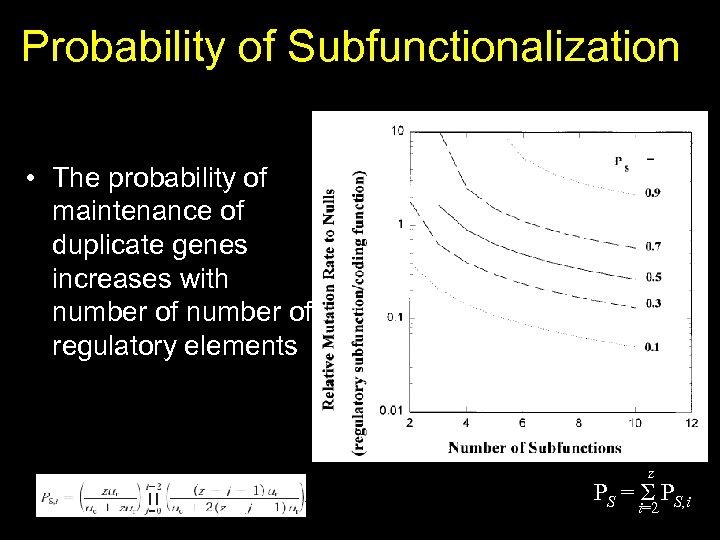 Probability of Subfunctionalization • The probability of maintenance of duplicate genes increases with number