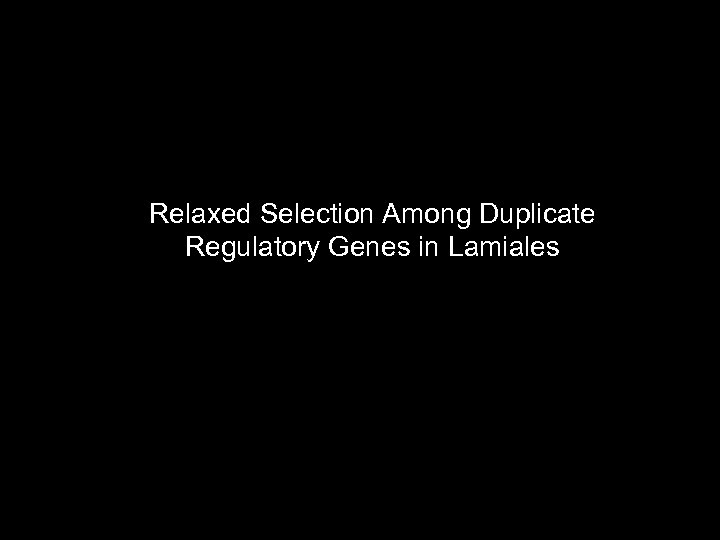 Relaxed Selection Among Duplicate Regulatory Genes in Lamiales 