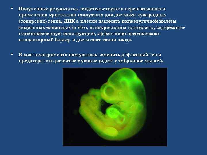  • Полученные результаты, свидетельствуют о перспективности применения кристаллов галлуазита для доставки чужеродных (донорских)