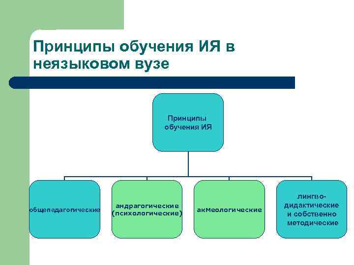 Принципы обучения ИЯ в неязыковом вузе Принципы обучения ИЯ общепедагогические андрагогические (психологические) акмеологические лингводидактические