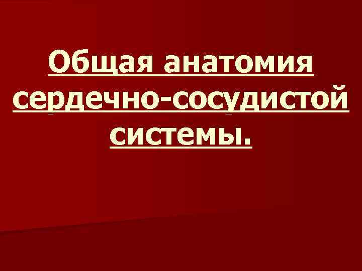 Общая анатомия сердечно-сосудистой системы. 