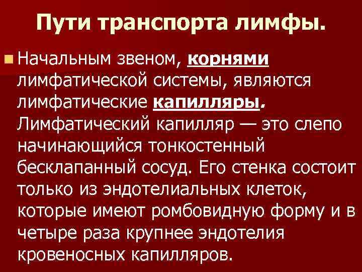 Пути транспорта лимфы. n Начальным звеном, корнями лимфатической системы, являются лимфатические капилляры. Лимфатический капилляр