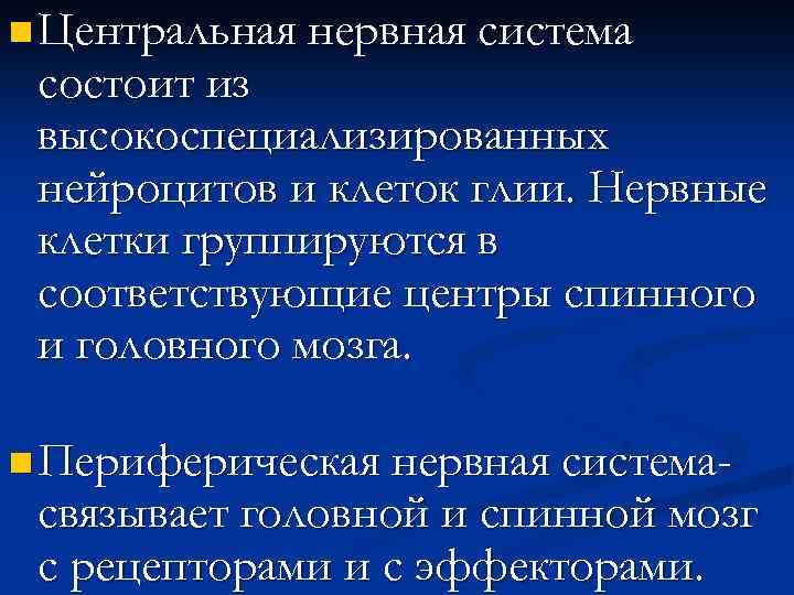 n Центральная нервная система состоит из высокоспециализированных нейроцитов и клеток глии. Нервные клетки группируются