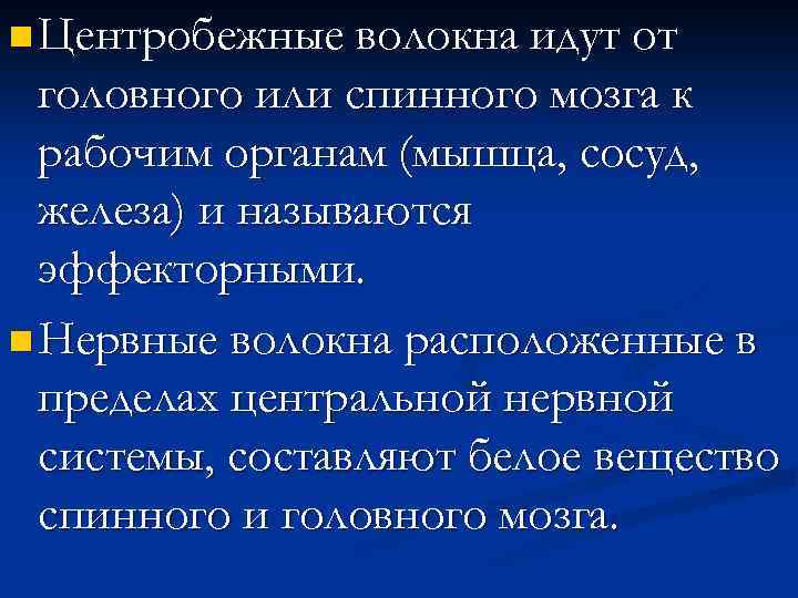 n Центробежные волокна идут от головного или спинного мозга к рабочим органам (мышца, сосуд,