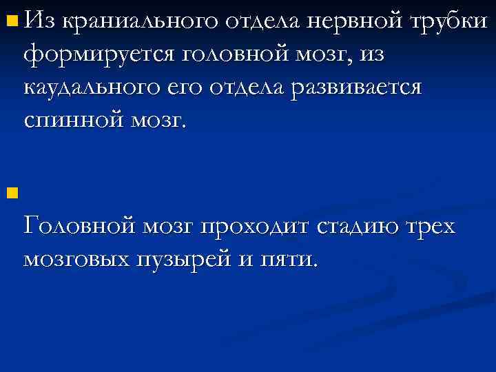 n Из краниального отдела нервной трубки формируется головной мозг, из каудального его отдела развивается