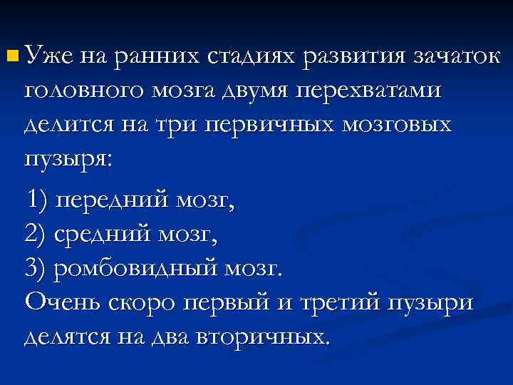 n Уже на ранних стадиях развития зачаток головного мозга двумя перехватами делится на три