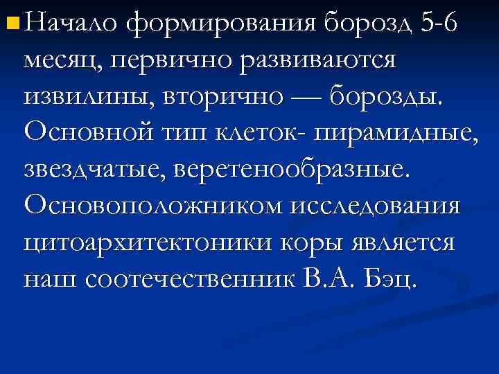 n Начало формирования борозд 5 -6 месяц, первично развиваются извилины, вторично — борозды. Основной
