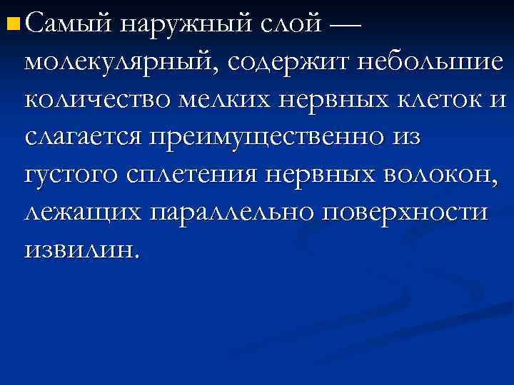 n Самый наружный слой — молекулярный, содержит небольшие количество мелких нервных клеток и слагается