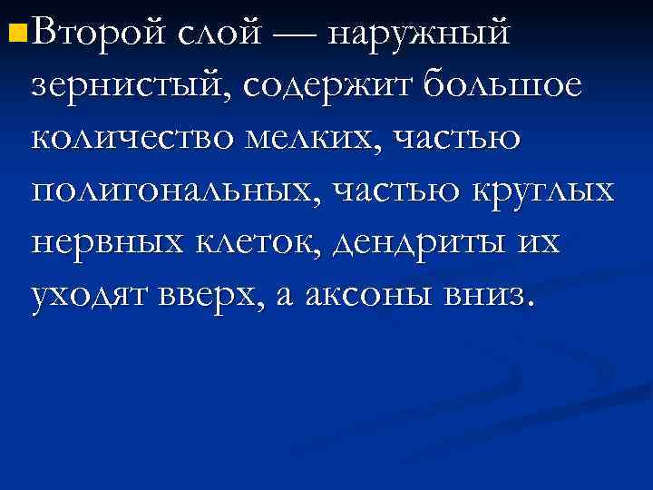 n Второй слой — наружный зернистый, содержит большое количество мелких, частью полигональных, частью круглых
