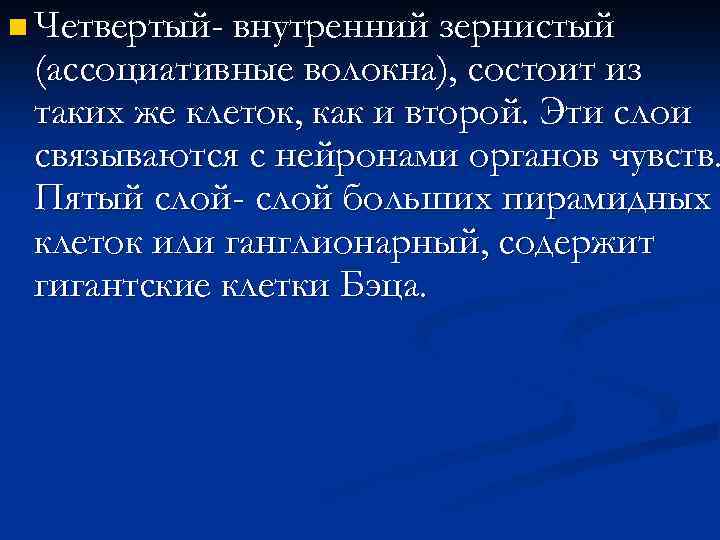 n Четвертый- внутренний зернистый (ассоциативные волокна), состоит из таких же клеток, как и второй.