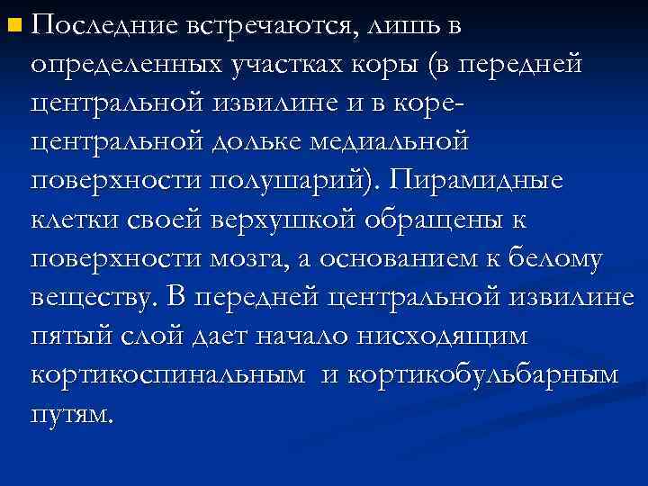 n Последние встречаются, лишь в определенных участках коры (в передней центральной извилине и в