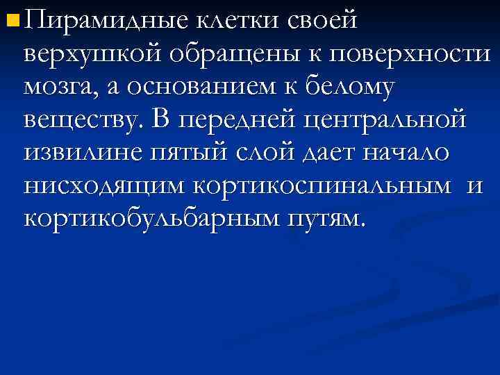 n Пирамидные клетки своей верхушкой обращены к поверхности мозга, а основанием к белому веществу.