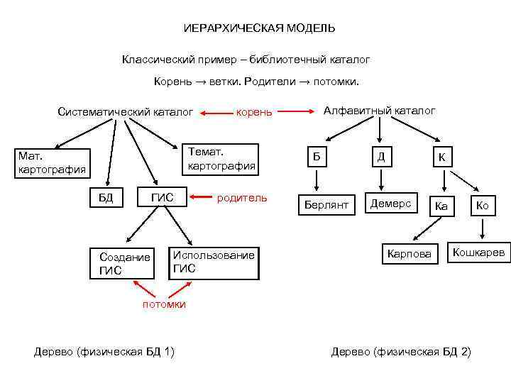 Иерархическая модель данных презентация