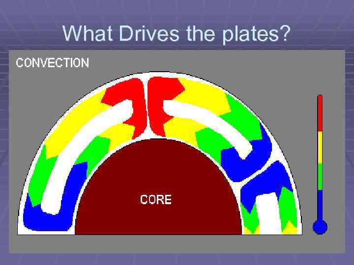 What Drives the plates? 