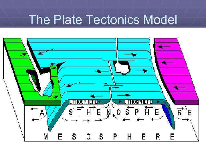 The Plate Tectonics Model 