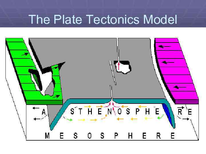 The Plate Tectonics Model 