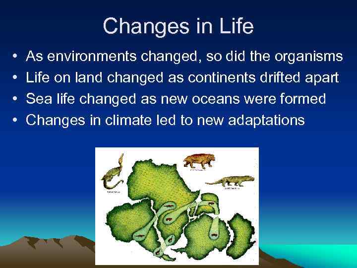 Changes in Life • • As environments changed, so did the organisms Life on