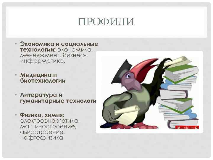 ПРОФИЛИ • Экономика и социальные технологии: экономика, менеджмент, бизнесинформатика. • Медицина и биотехнологии •