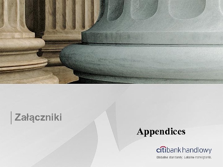 Załączniki Appendices 