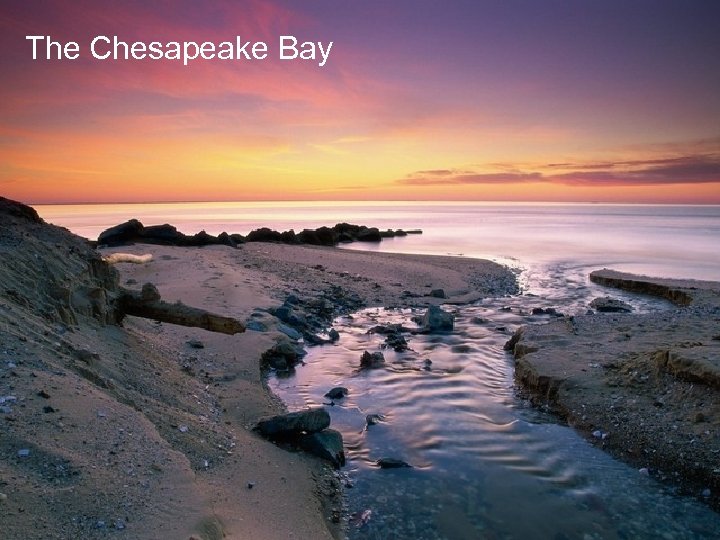 The Chesapeake Bay 