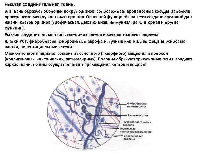 Период повторного строения схема