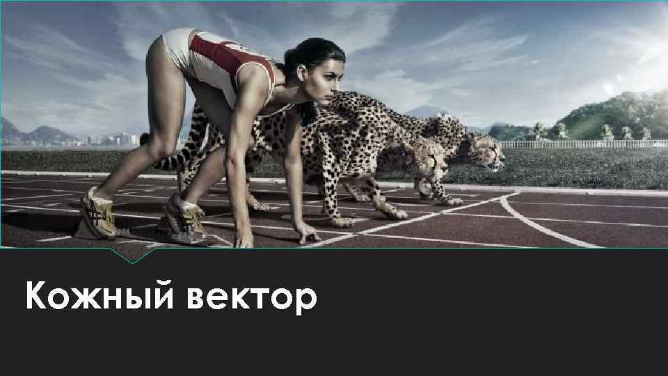 Кожный вектор 