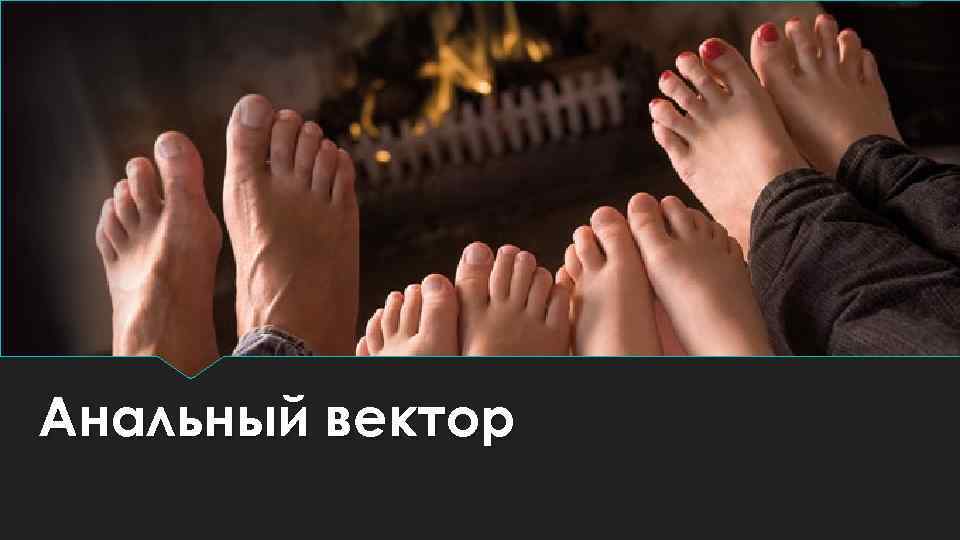 Анальный вектор 