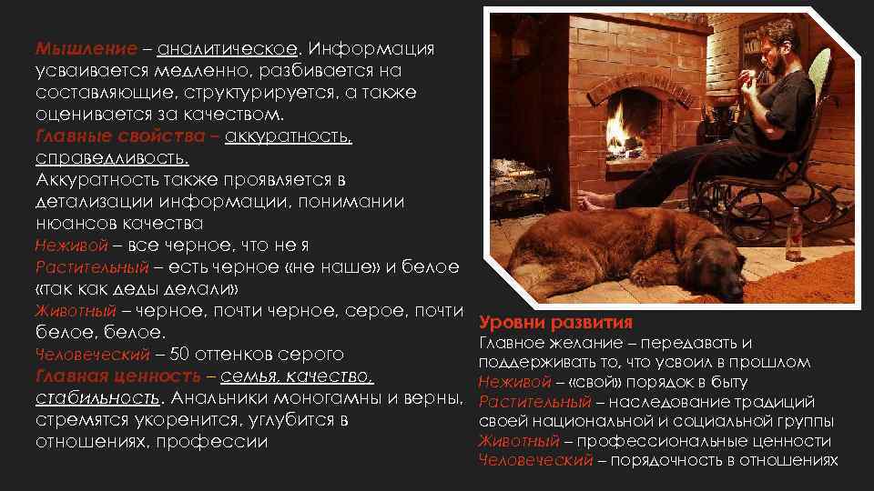 Мышление – аналитическое. Информация усваивается медленно, разбивается на составляющие, структурируется, а также оценивается за