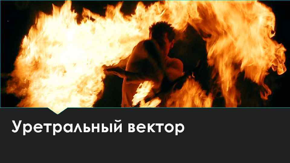 Уретральный вектор 