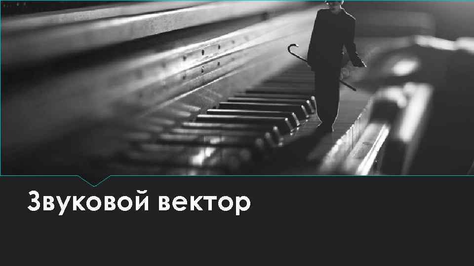 Звуковой вектор 