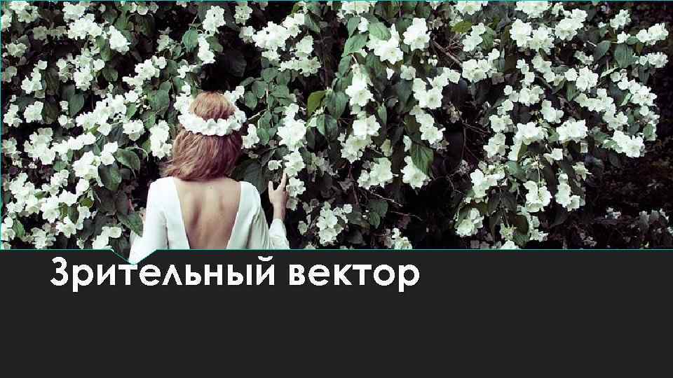 Зрительный вектор 