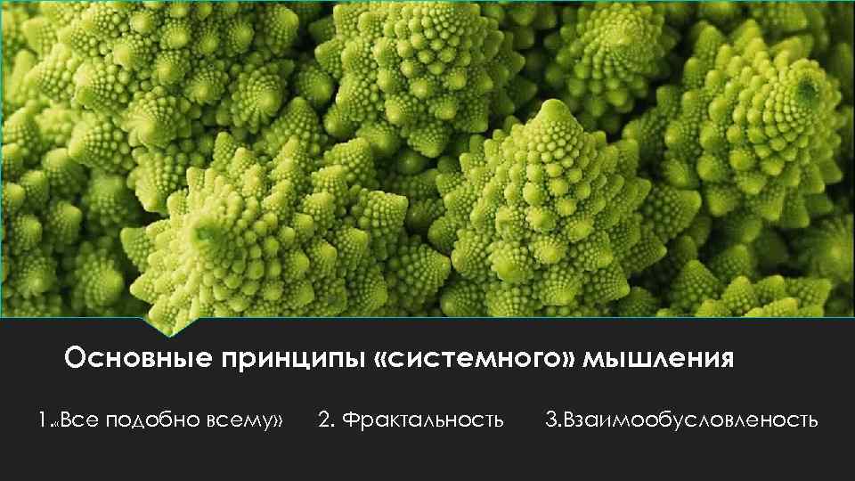 Основные принципы «системного» мышления 1. «Все подобно всему» 2. Фрактальность 3. Взаимообусловленость 