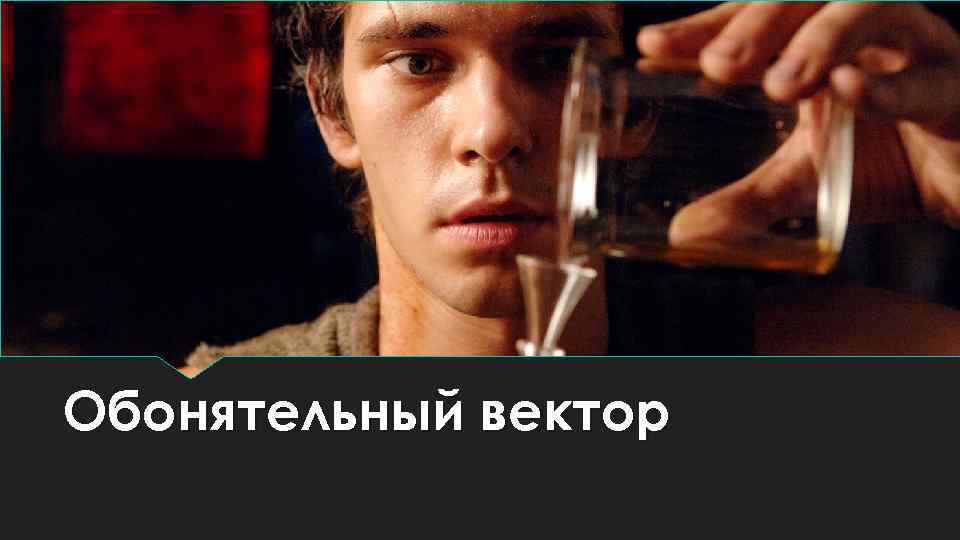 Обонятельный вектор 