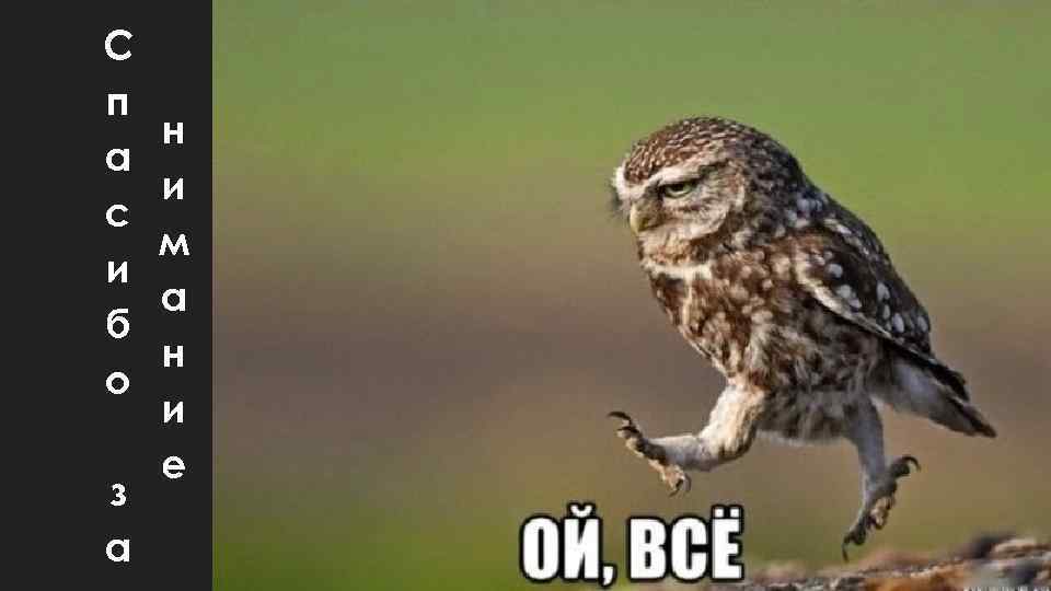 С п а с и б о з а н и м а н