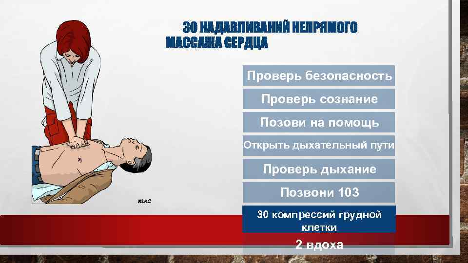 30 НАДАВЛИВАНИЙ НЕПРЯМОГО МАССАЖА СЕРДЦА Проверь безопасность Проверь сознание Позови на помощь Открыть дыхательный