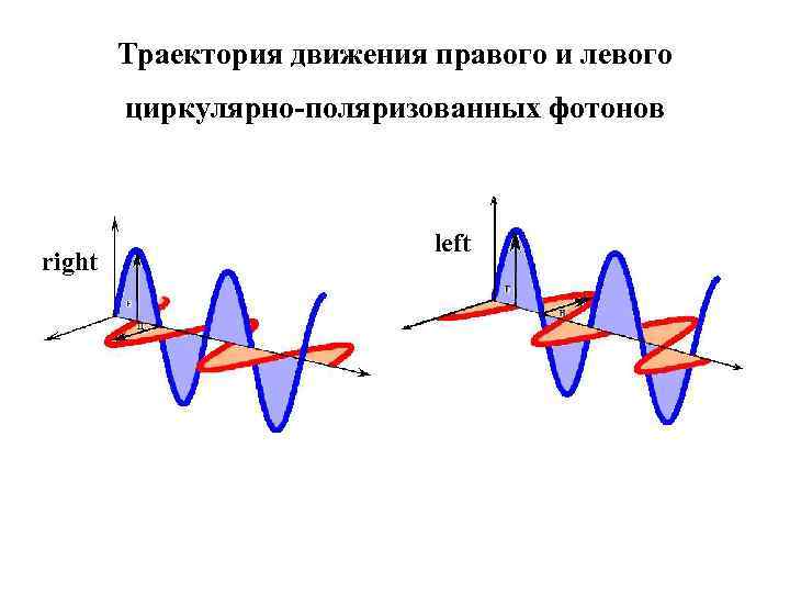 Траектория движения правого и левого циркулярно-поляризованных фотонов right left 