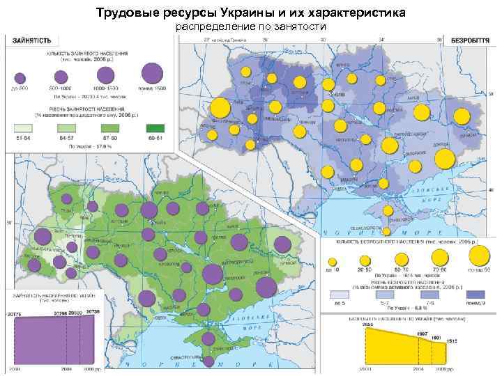 Трудовые ресурсы Украины и их характеристика распределение по занятости 